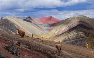 Peru weather forecast