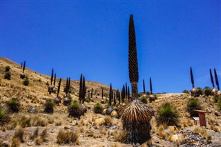 Peru weather forecast