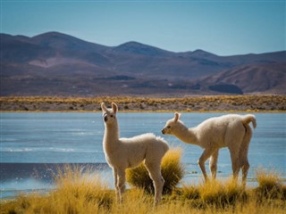 Peru weather forecast