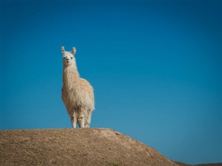 Peru weather forecast