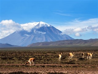 Peru weather forecast