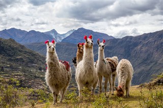 Peru weather forecast