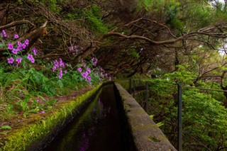 Pitcairn Island weather forecast