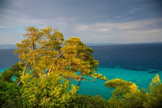 Pitcairn Island weather forecast