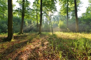 Poland weather forecast