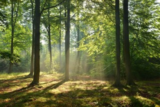 Poland weather forecast