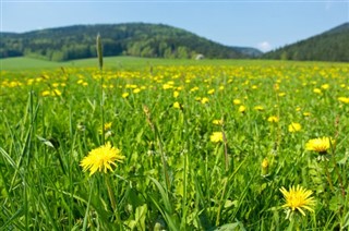 Poland weather forecast