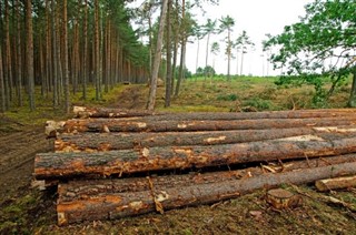 Poland weather forecast