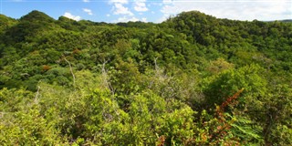 Puerto Rico pronóstico del tiempo