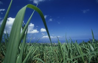 Reunion weather forecast