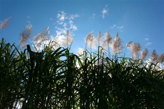 Reunion weather forecast