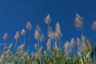 Reunion weather forecast