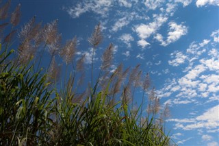 Reunion weather forecast