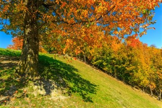 Romania weather forecast