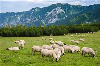 Romania weather forecast