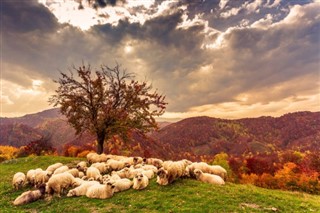 Romania weather forecast