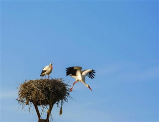 Romania weather forecast