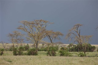 Rwanda weather forecast