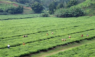 Rwanda weather forecast