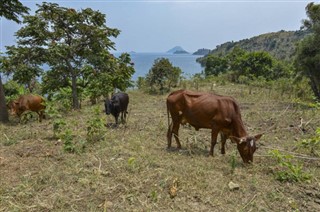 Ruanda pronóstico del tiempo