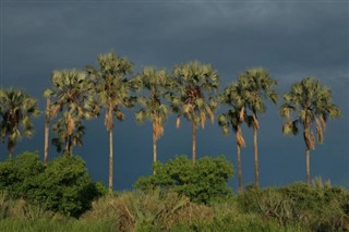 Rwanda weather forecast