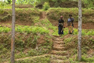 Rwanda weather forecast