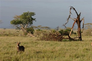 Rwanda weather forecast