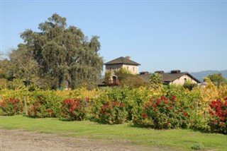 Saint Helena weather forecast