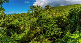 Saint Kitts and Nevis weather forecast