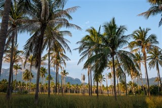 Saint Kitts and Nevis weather forecast