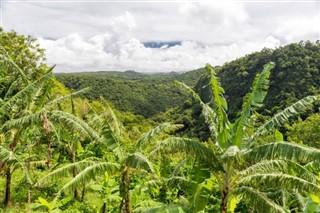 Saint Lucia weather forecast