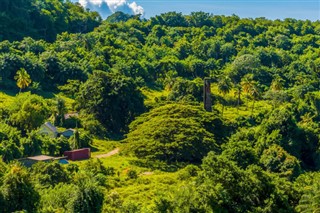 Saint Vincent and the Grenadines weather forecast