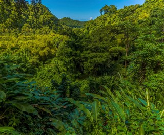 Saint Vincent and the Grenadines weather forecast