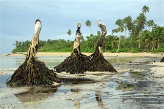 Samoa weather forecast