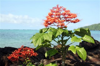 Samoa weather forecast