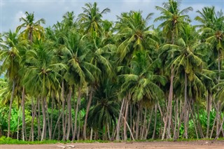 Sao Tome and Principe weather forecast