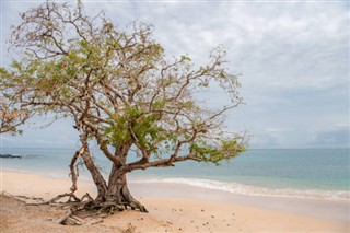 Sao Tome and Principe weather forecast