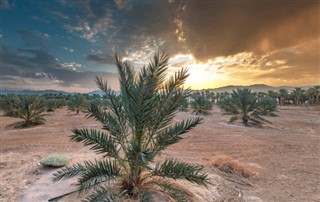 Saudi Arabia weather forecast