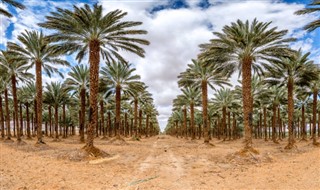 Saudi Arabia weather forecast