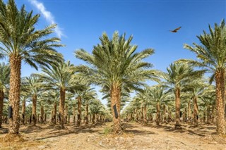 Saudi Arabia weather forecast