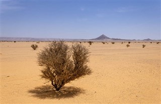 Saudi Arabia weather forecast