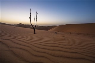 Saudi Arabia weather forecast