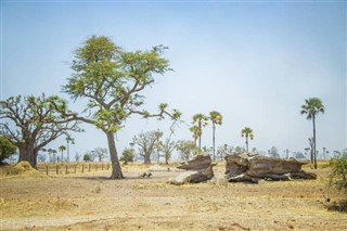 Senegal weather forecast