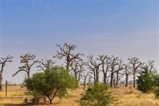 Senegal prognoza pogody