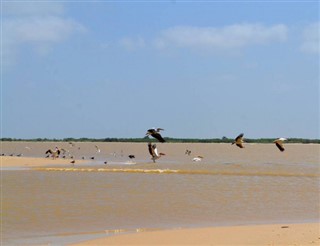 Senegal weather forecast