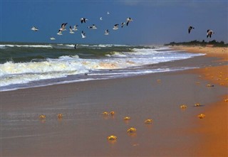 Senegal pronóstico del tiempo