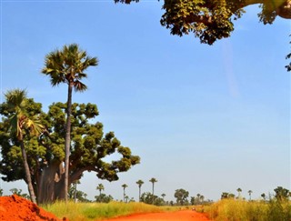 Senegal weather forecast