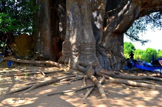 Senegal prognoza pogody