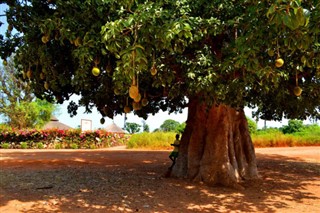 Senegal weather forecast