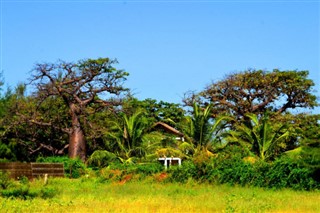 Senegal weather forecast